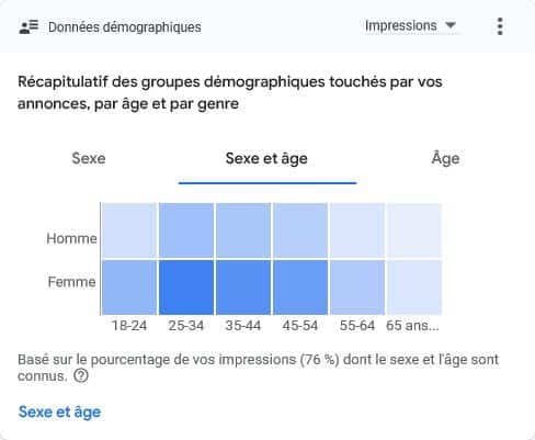 campagne Google Ads- exemple performances