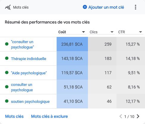 Campagne Google Ads - Rapport mot-clé